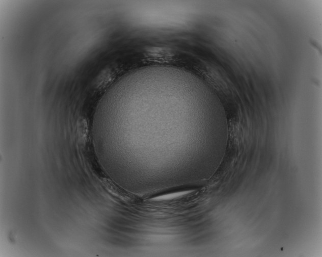 X0000097490752200803071739