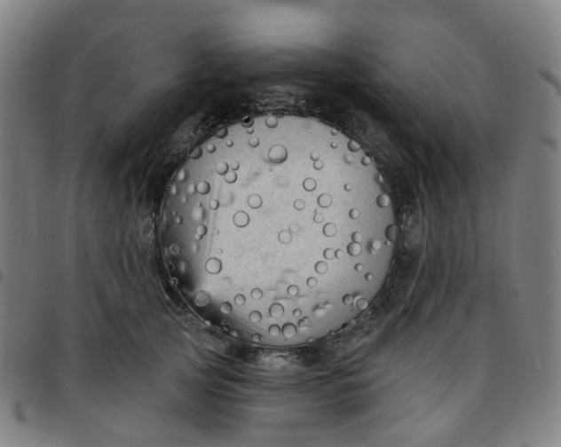 X0000097490753200803071739