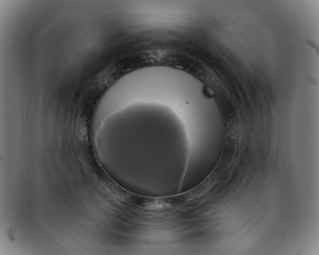 X0000097490754200803071739