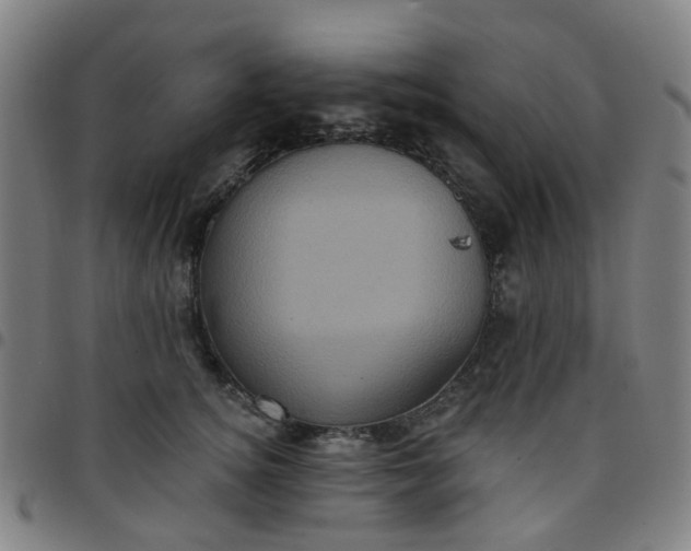 X0000097490756200803071739