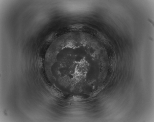 X0000097490758200803071739