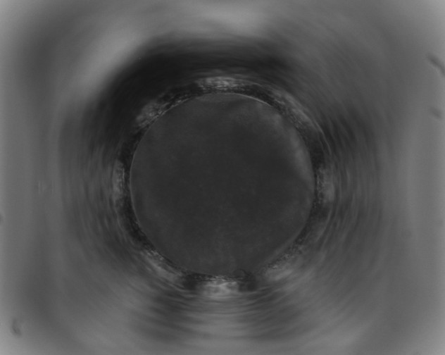 X0000097490760200803071739