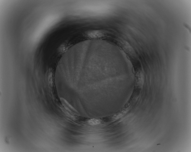 X0000097490762200803071739