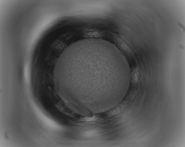 X0000097490764200803071739