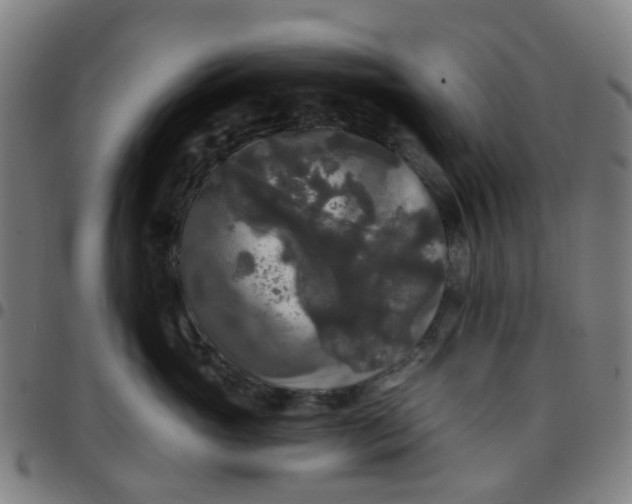 X0000097490765200803071739