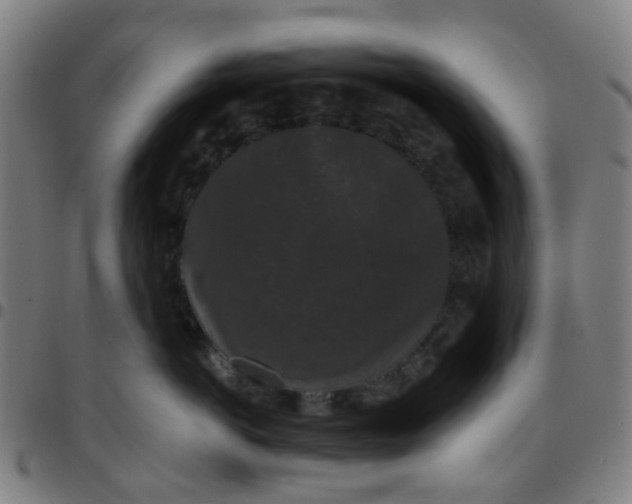 X0000097490766200803071739