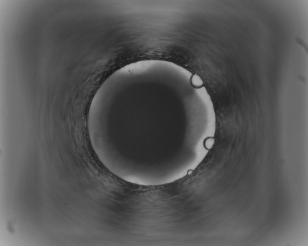 X0000097490769200803071738