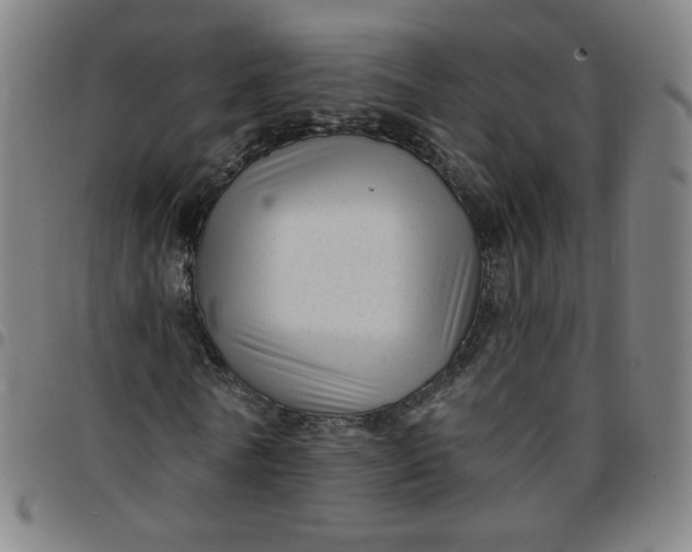 X0000097490770200803071738