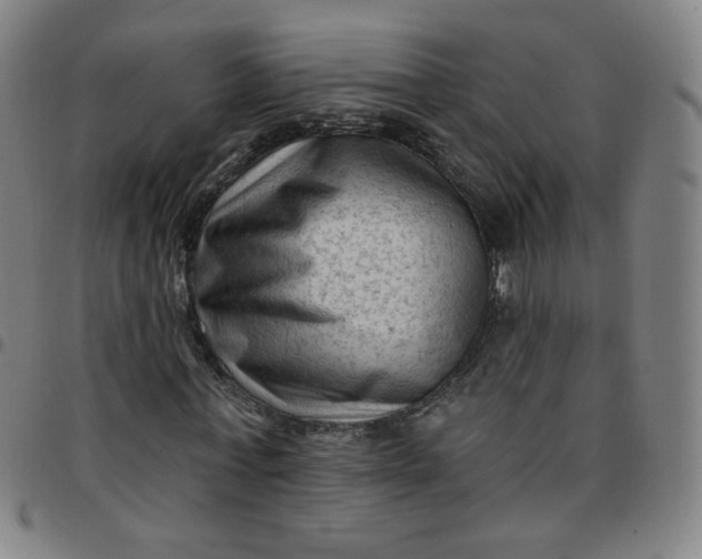 X0000097490771200803071738