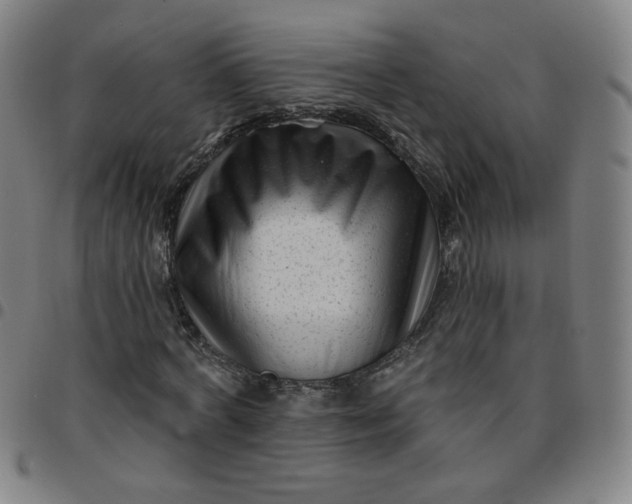 X0000097490772200803071738