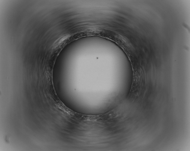 X0000097490773200803071738