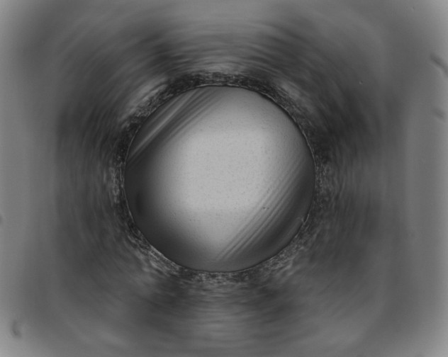 X0000097490774200803071738