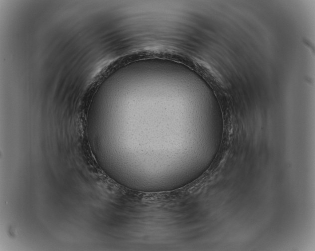 X0000097490776200803071738