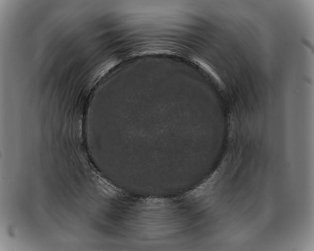 X0000097490777200803071738