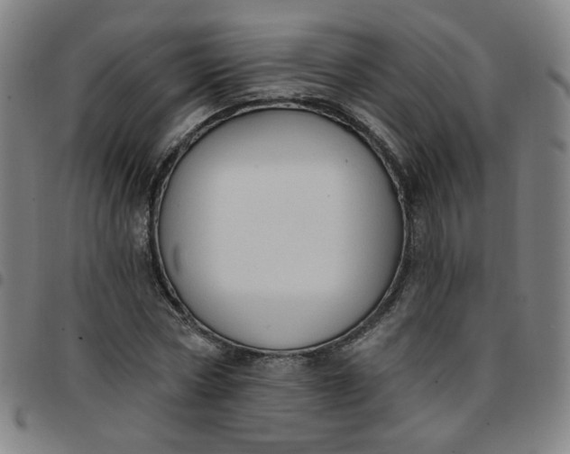 X0000097490778200803071738