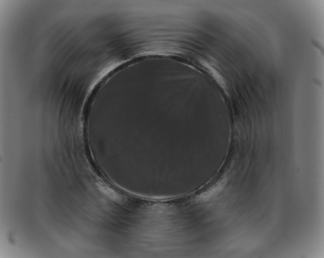 X0000097490779200803071738