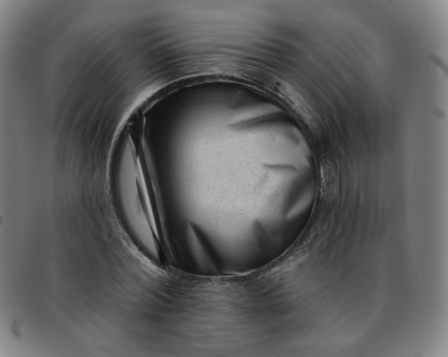 X0000097490780200803071738