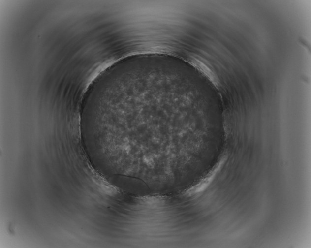 X0000097490781200803071738