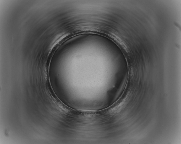 X0000097490782200803071738