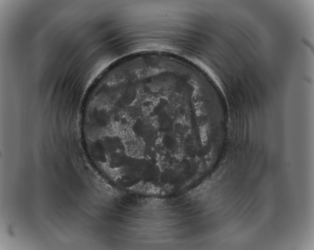 X0000097490783200803071738