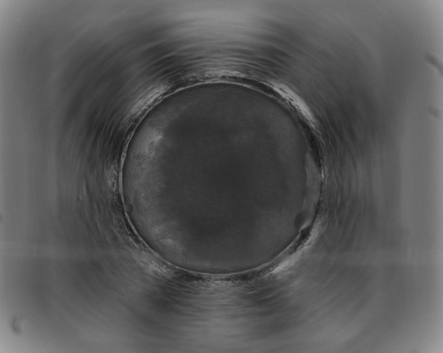 X0000097490785200803071738