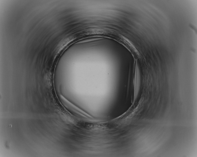 X0000097490786200803071738