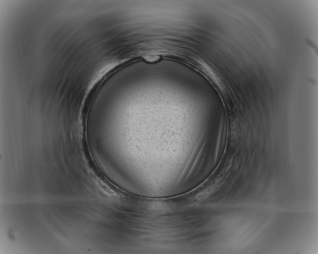 X0000097490787200803071738