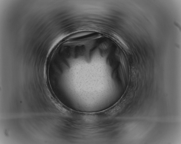 X0000097490788200803071738