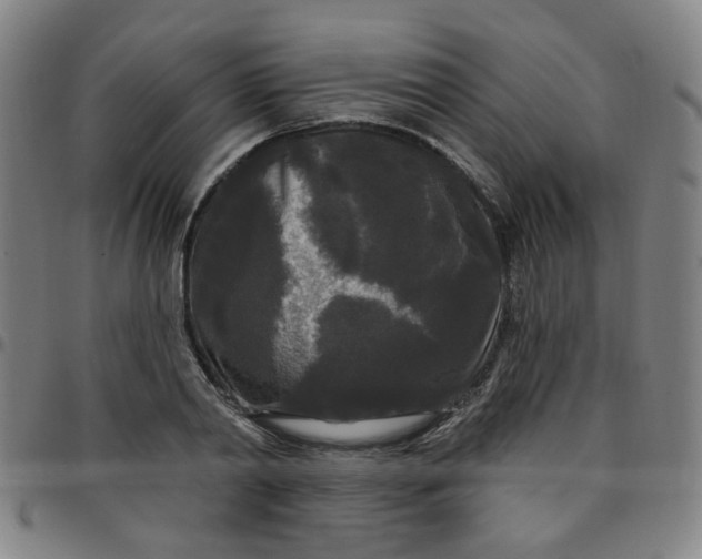 X0000097490790200803071738