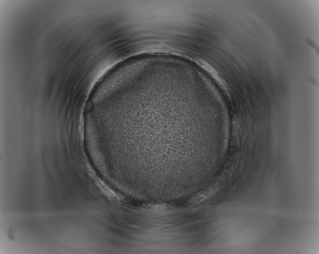 X0000097490791200803071738