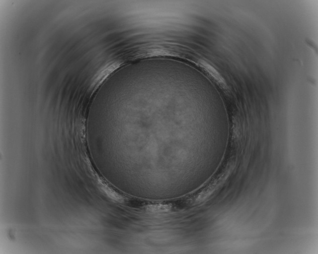 X0000097490793200803071738