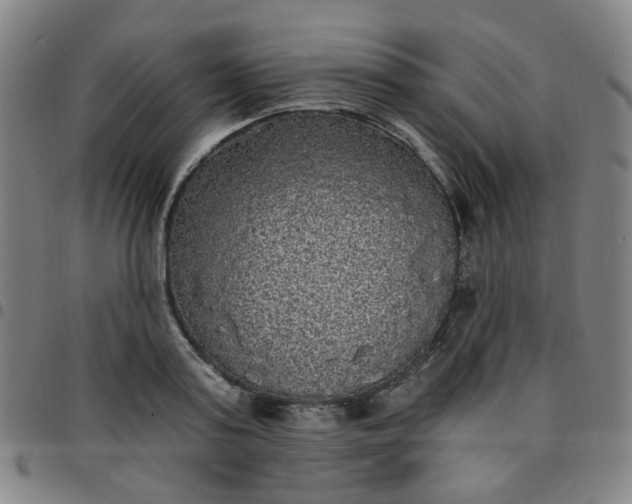 X0000097490795200803071738