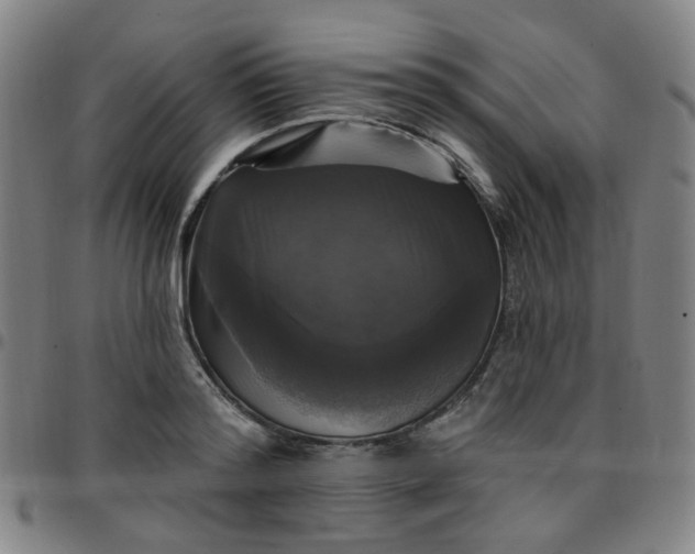 X0000097490796200803071738