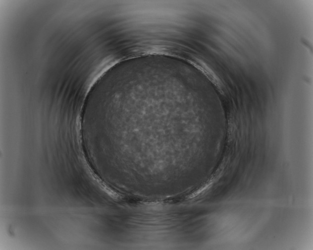 X0000097490798200803071738