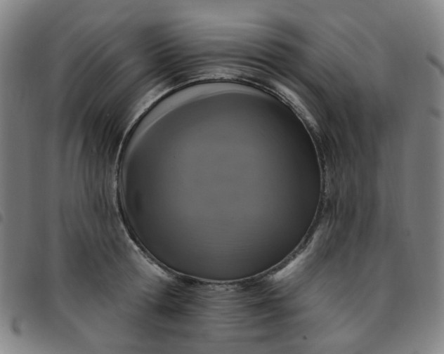 X0000097490802200803071738