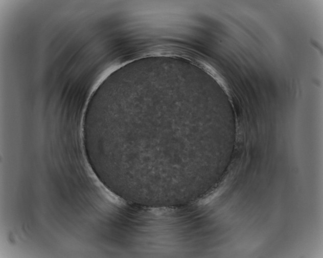 X0000097490803200803071738