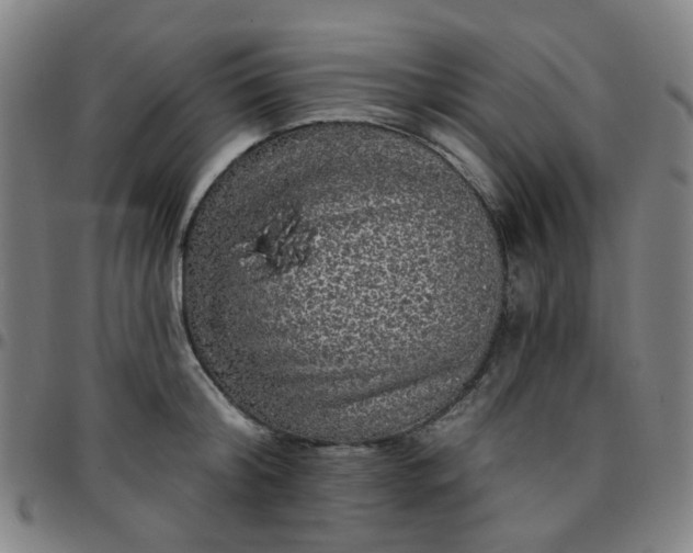 X0000097490804200803071738