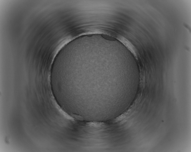 X0000097490805200803071738