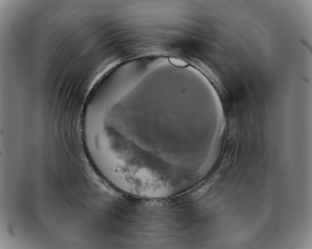 X0000097490806200803071738