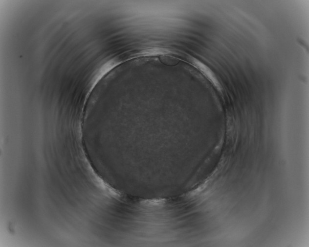 X0000097490810200803071738