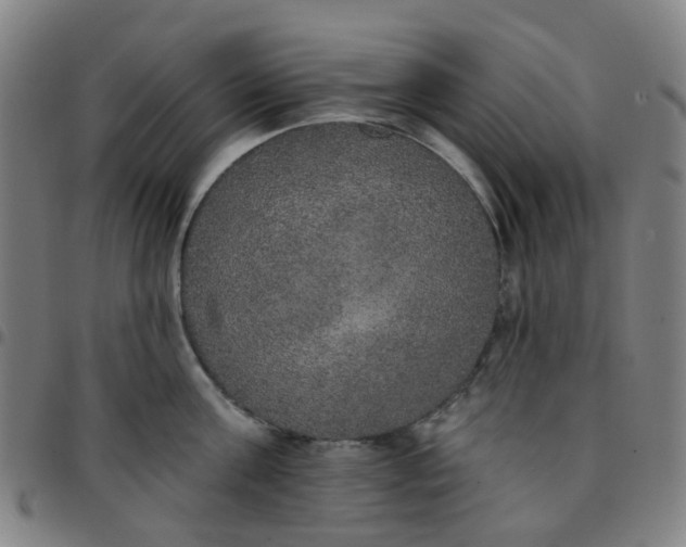 X0000097490811200803071738