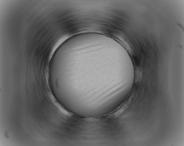 X0000097490812200803071738