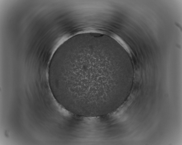 X0000097490813200803071737