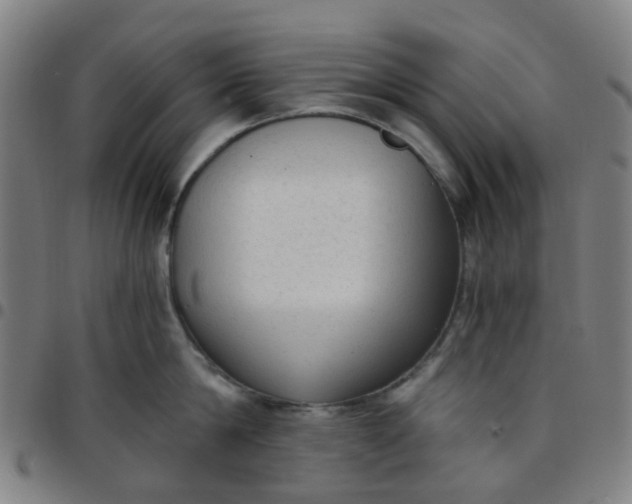 X0000097490814200803071737