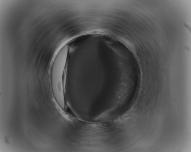 X0000097490816200803071737