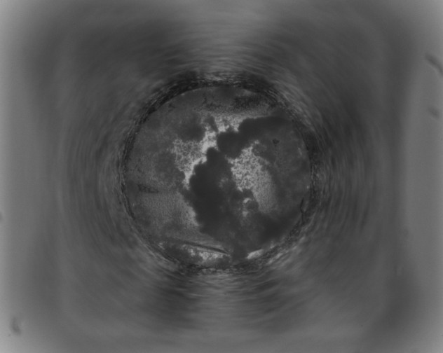 X0000097490817200803071737