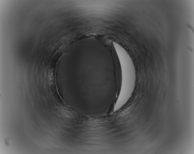 X0000097490818200803071737