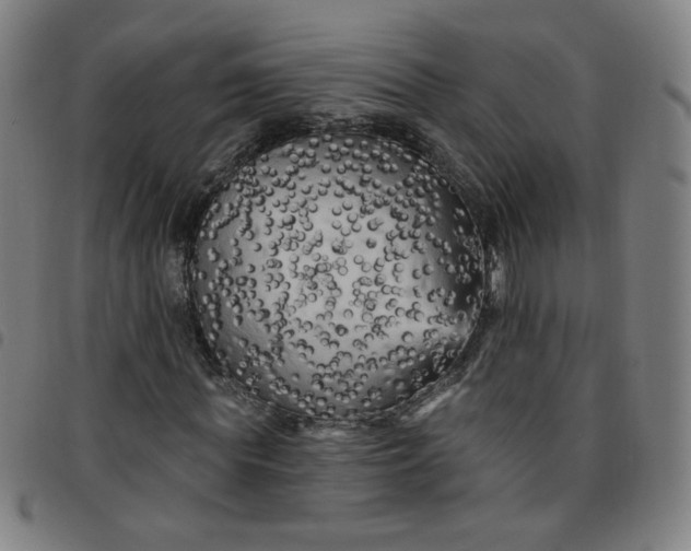 X0000097490819200803071737