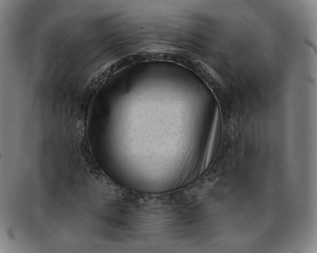 X0000097490821200803071737