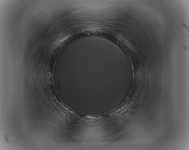 X0000097490822200803071737